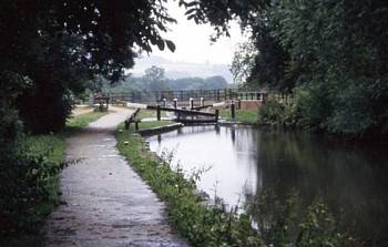 Turnerwood